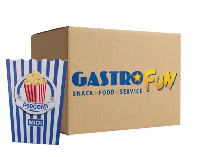 Pudełko kartonowe MIDI 3,0L 220szt.