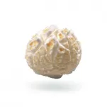 Kukurydza POP WEAVER MUSHROOM USA CARAMEL & SWEET ( MUSHROOM) 22.68kg - 3