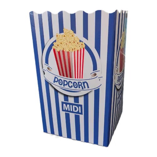 Pudełko kartonowe MIDI