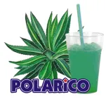 KAKTUS POLARICO - 500g., WORECZEK - 2